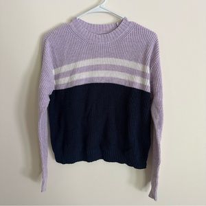 American Eagle purple color block striped sweater
